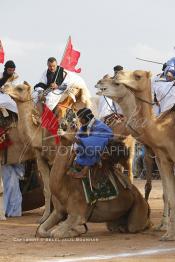 Image du Maroc Professionnelle de  Des hommes du désert s’apprêtent à une course de chameaux organisé dans un site désertique sur lequel la ville de Tan Tan a toujours accueilli la majorité des tribus et des grandes familles nomades du désert lors d'un grand Moussem, Samedi 7 Septembre 2013. Le festival parrainé par l'UNESCO rassemble des milliers de nomades du Maroc. (Photo / Abdeljalil Bounhar)